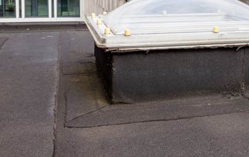 disadvantages of Tupsley flat roofs
